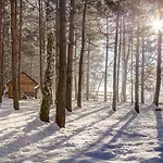 Forest & Sarajevo - Mgallery Collection