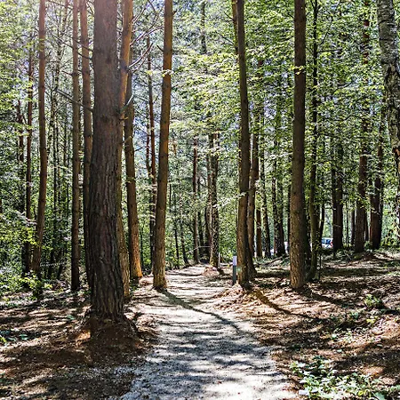 Forest & Sarajevo - Mgallery Collection Отель Tarcin