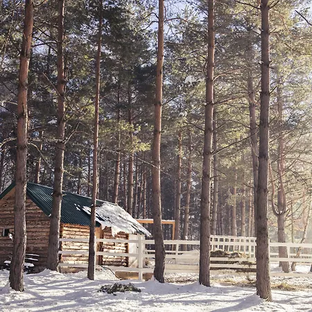 Forest & Sarajevo - Mgallery Collection Tarcin