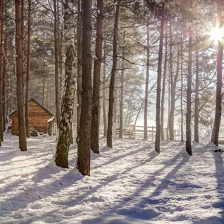 Forest & Sarajevo - Mgallery Collection