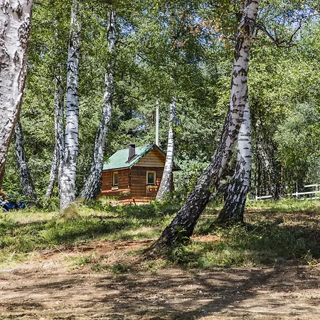 Forest & Sarajevo - Mgallery Collection Tarcin