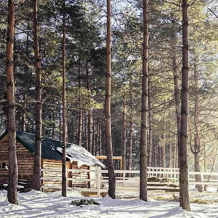 Forest & Sarajevo - Mgallery Collection Tarcin