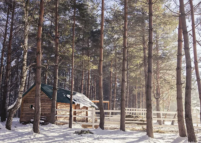 Forest & Sarajevo - Mgallery Collection Tarcin