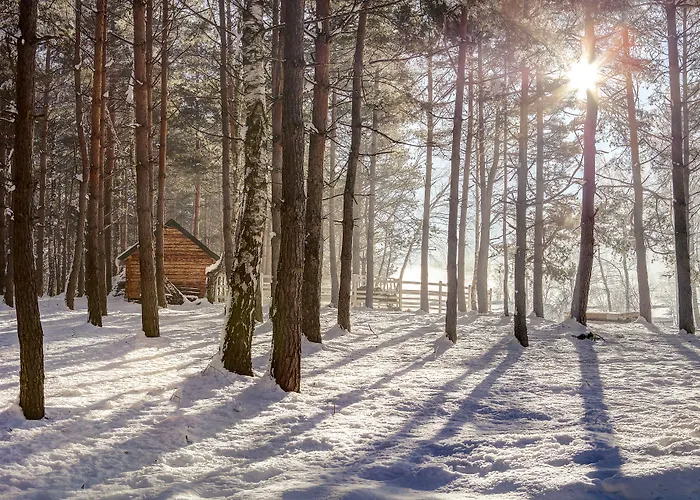 Forest & Sarajevo - Mgallery Collection