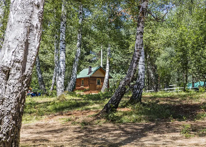 Forest & Sarajevo - Mgallery Collection Tarcin