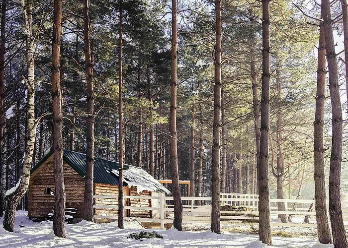 Forest & Sarajevo - Mgallery Collection Tarcin